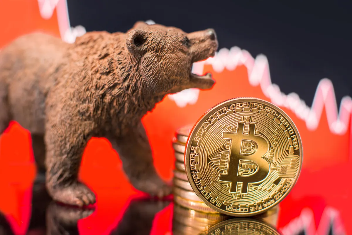 BTC bear market