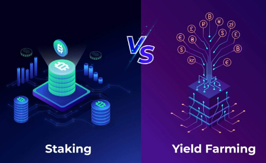 Yield farming vs staking