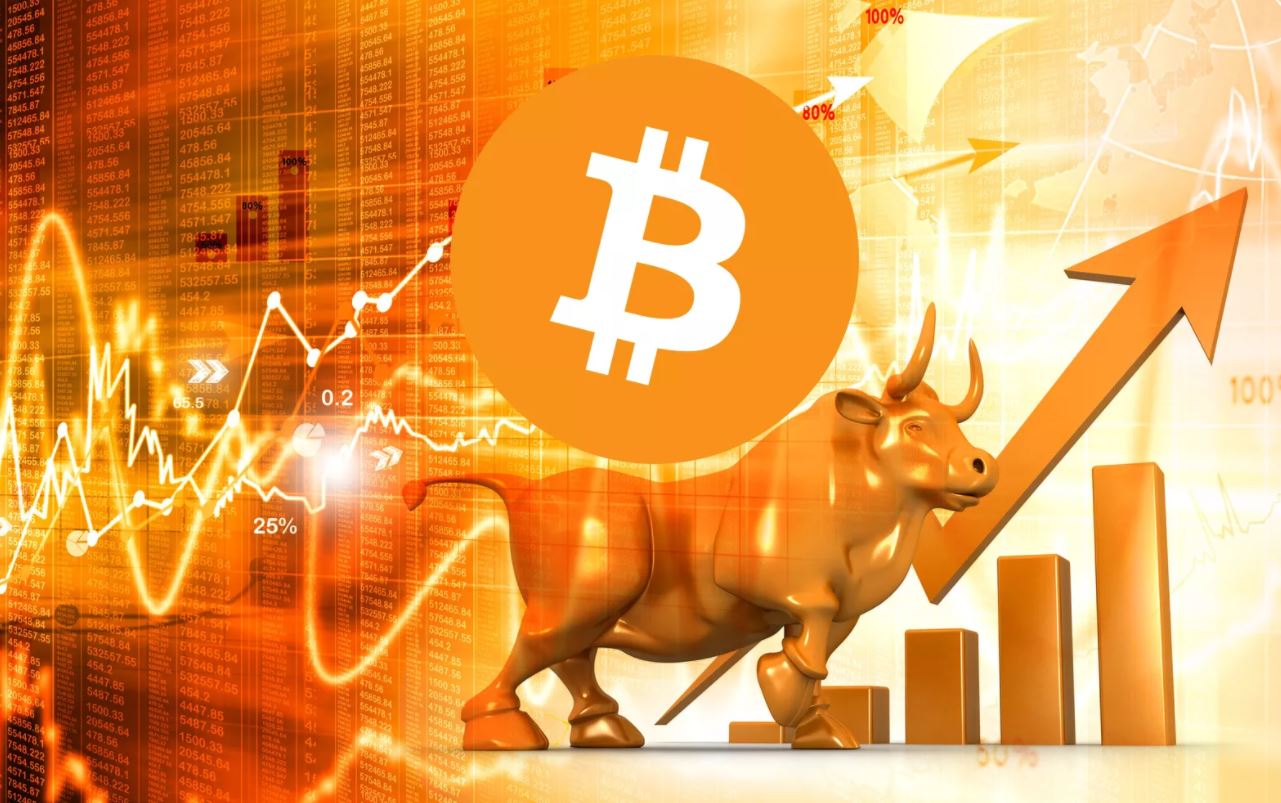 Bull crypto market 