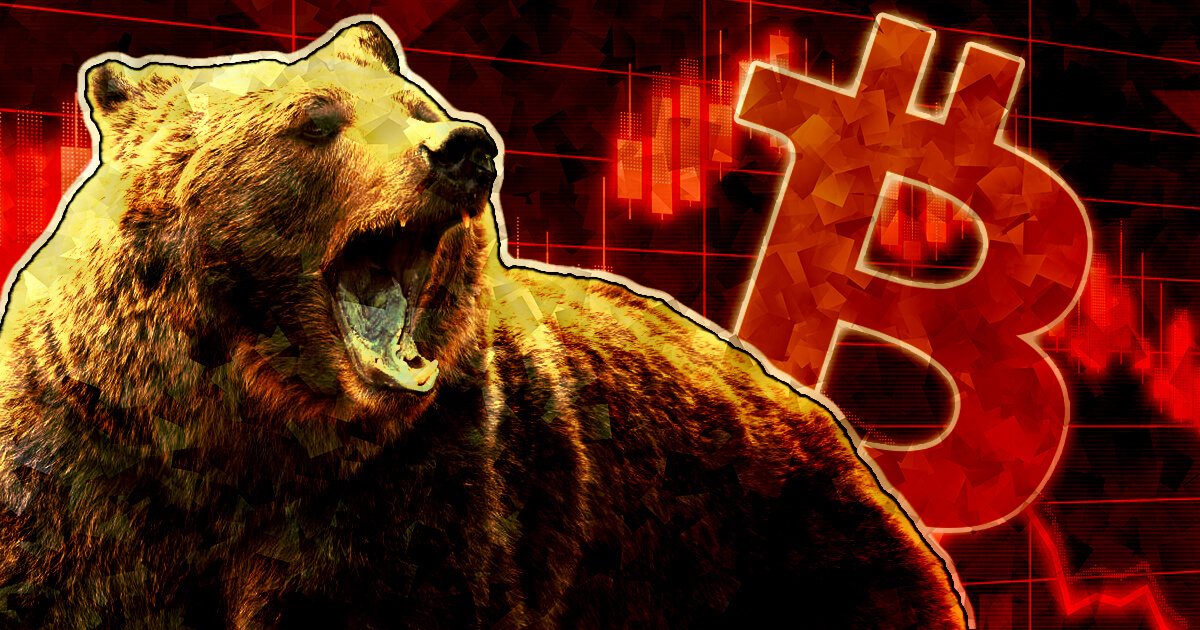 Bear crypto market 