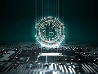 Crypto monthly returns in November