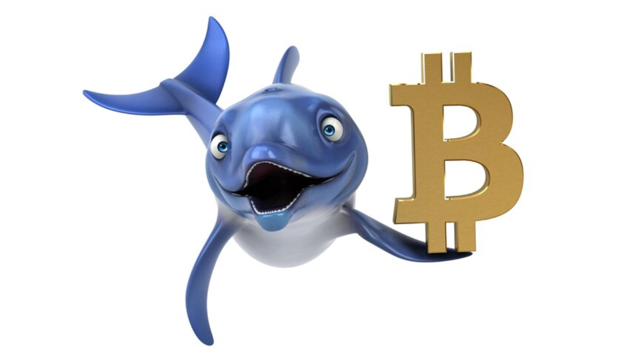 Anonymous Bitcoin whales