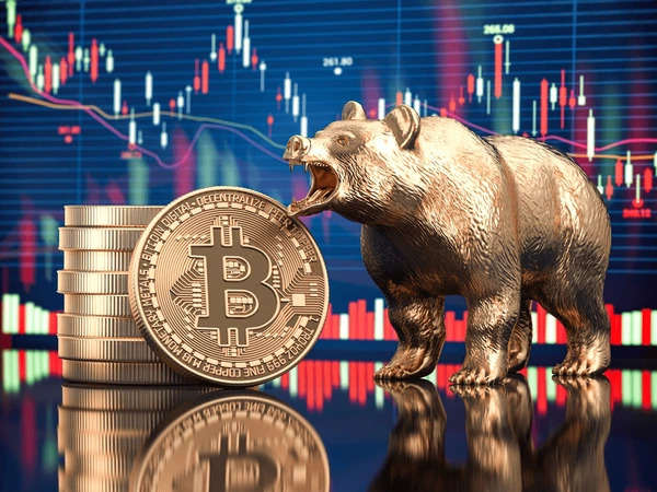 Crypto term: Bear market