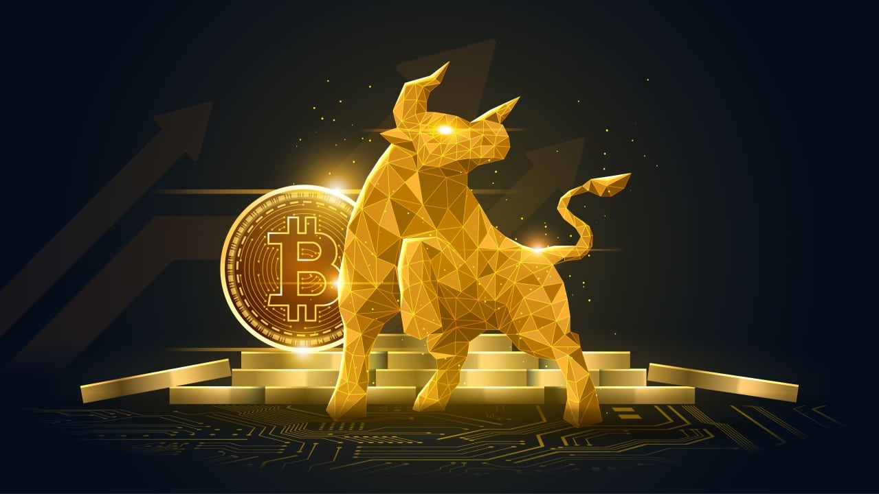 Crypto bull market signals in the market